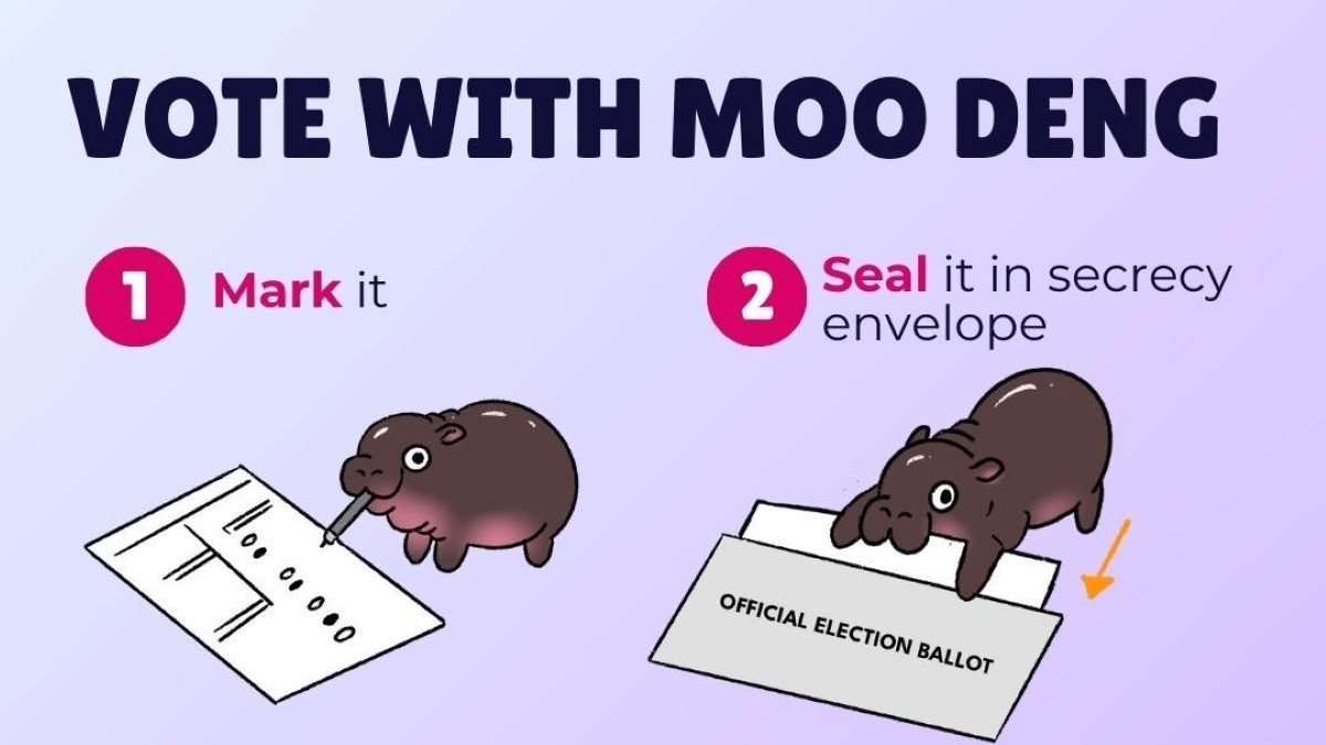 Moo Deng Mail Ballot Guide from voter.pa