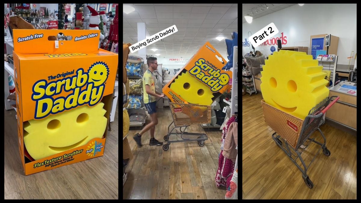 HomeGoods sold a giant, $1,000 Scrub Daddy, and chaos ensued | The Mary Sue