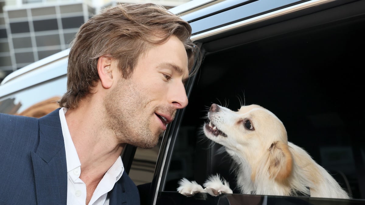 glen powell and his dog