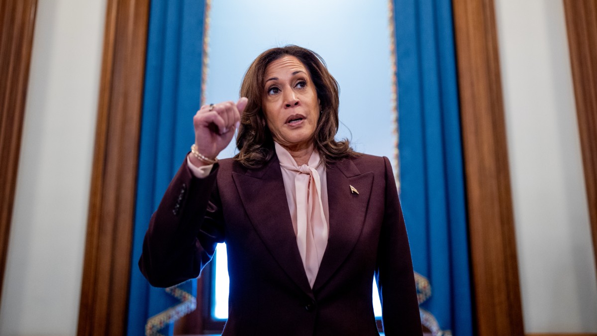 Vice President Kamala Harris speaks to reporters after certifying the 2024 election results