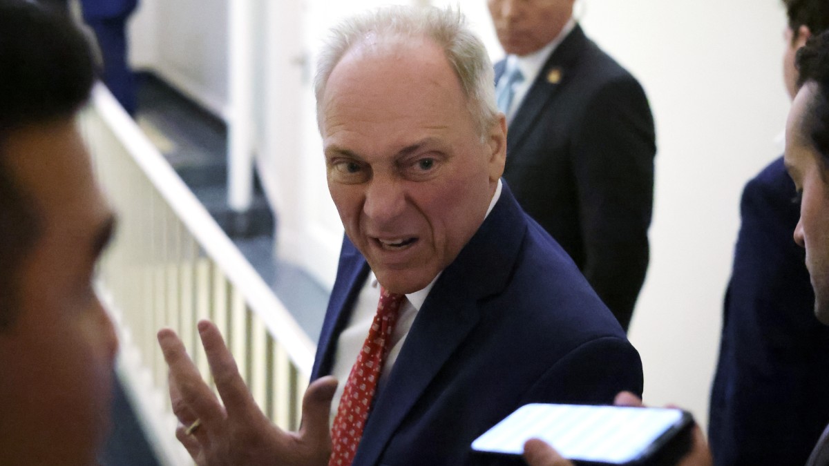 Rep. Steve Scalise speaks to the press at the U.S. Capitol on December 20, 2024