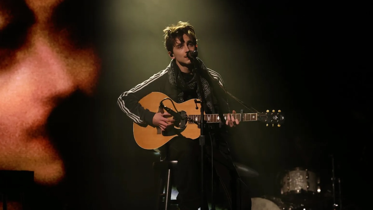 timothee chalamet with a guitar